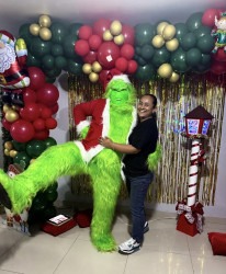 Grinch201 1752716953 Grinch