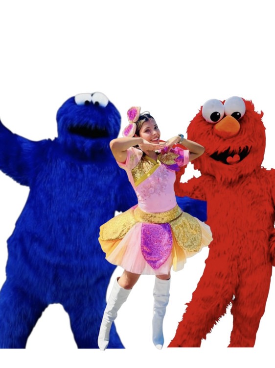 Sesame Street Deluxe Show