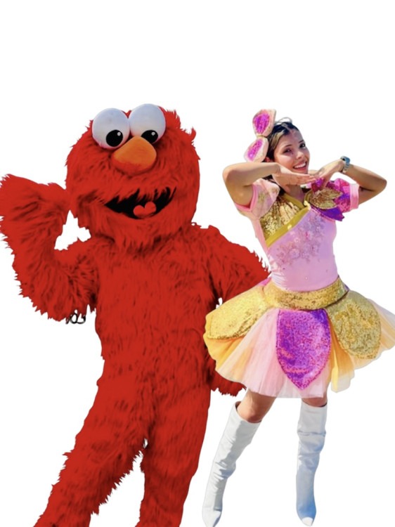 Sesame Street Show